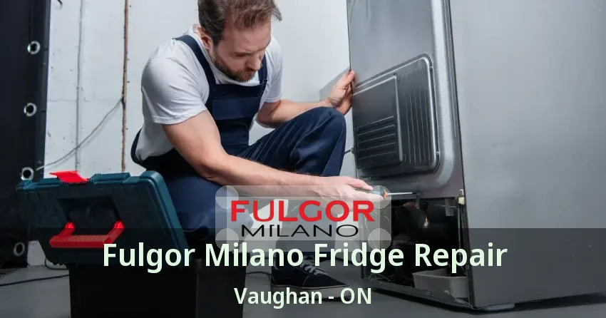 Fulgor Milano Fridge Repair Vaughan - ON