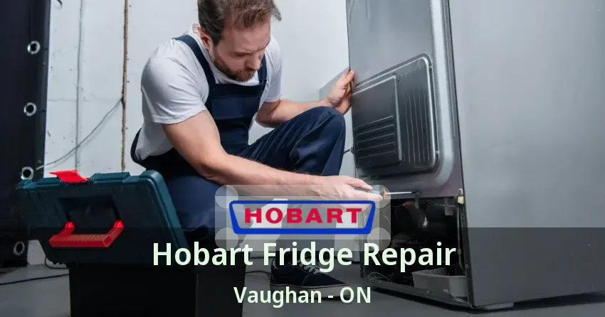 Hobart Fridge Repair Vaughan - ON