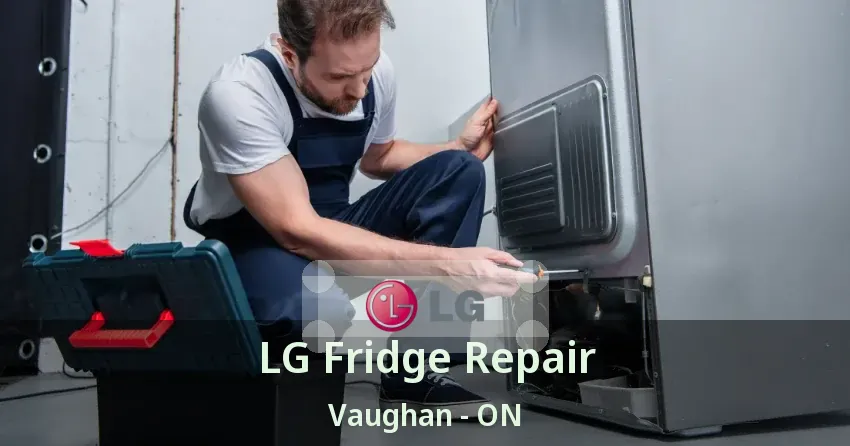 LG Fridge Repair Vaughan - ON