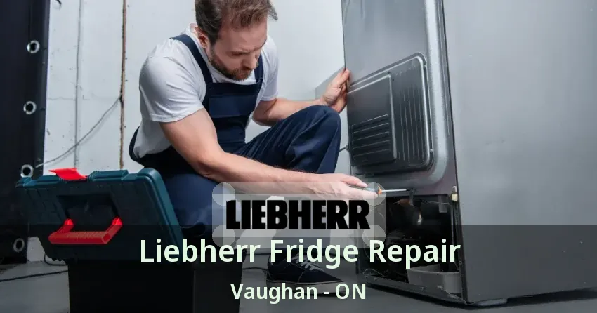 Liebherr Fridge Repair Vaughan - ON