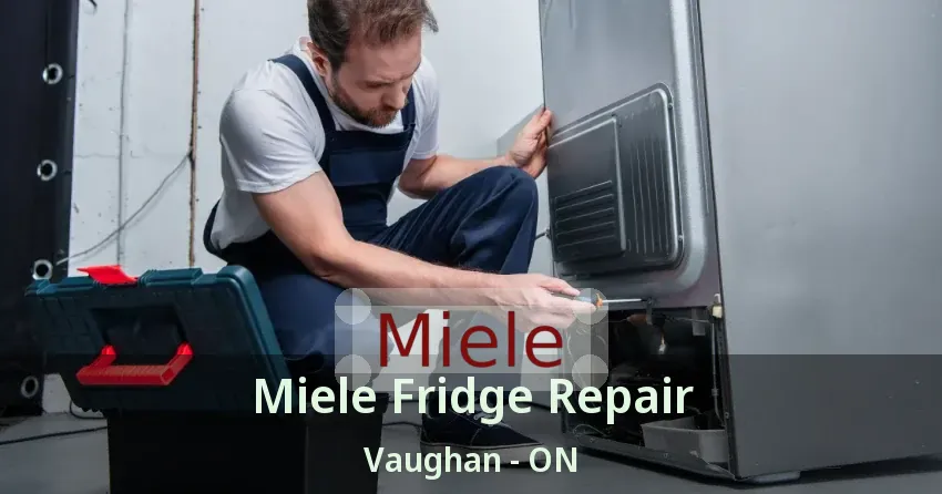 Miele Fridge Repair Vaughan - ON