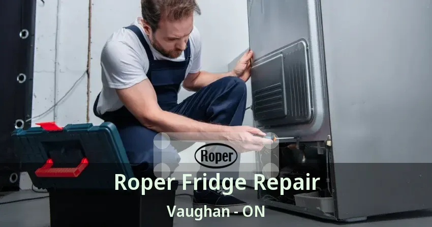 Roper Fridge Repair Vaughan - ON