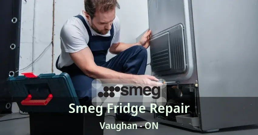 Smeg Fridge Repair Vaughan - ON