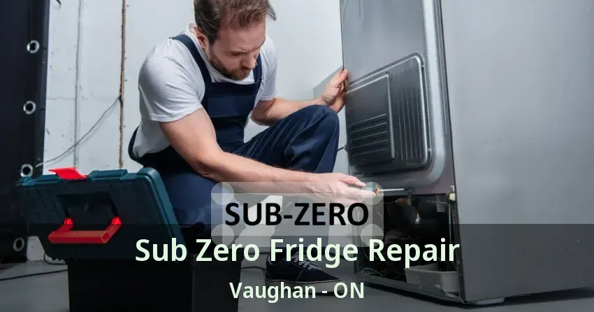 Sub Zero Fridge Repair Vaughan - ON