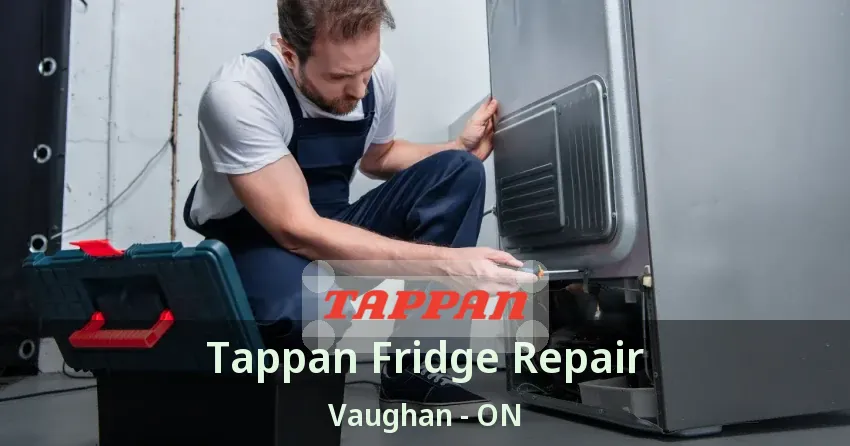 Tappan Fridge Repair Vaughan - ON