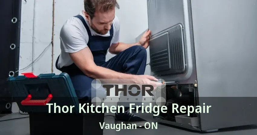 Thor Kitchen Fridge Repair Vaughan - ON