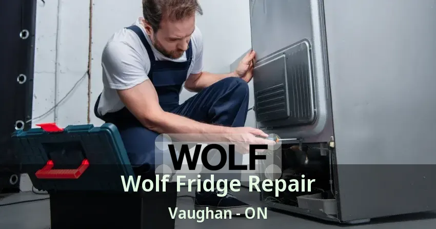 Wolf Fridge Repair Vaughan - ON