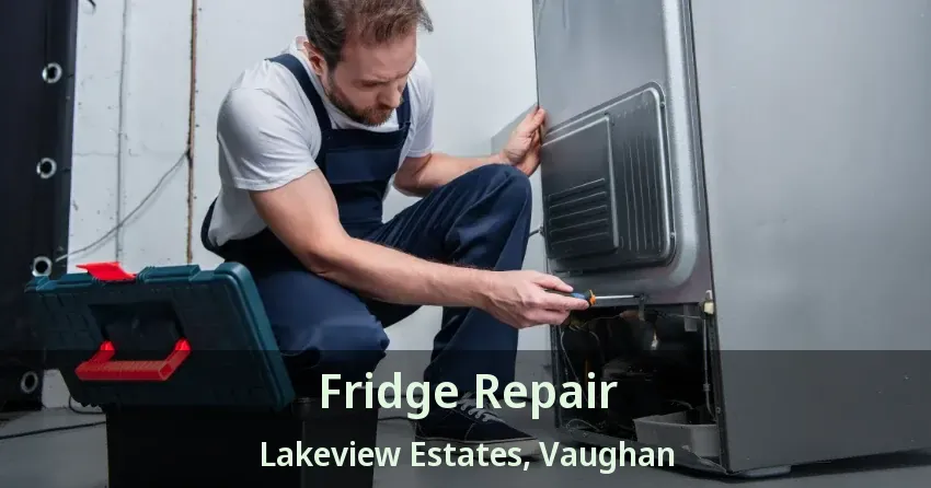 Fridge Repair Lakeview Estates, Vaughan - ON