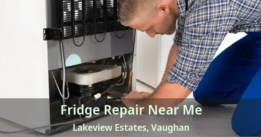 Fridge Repair Near Me Lakeview Estates, Vaughan - ON