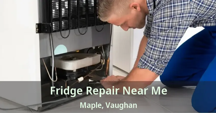 Fridge Repair Near Me Maple, Vaughan - ON