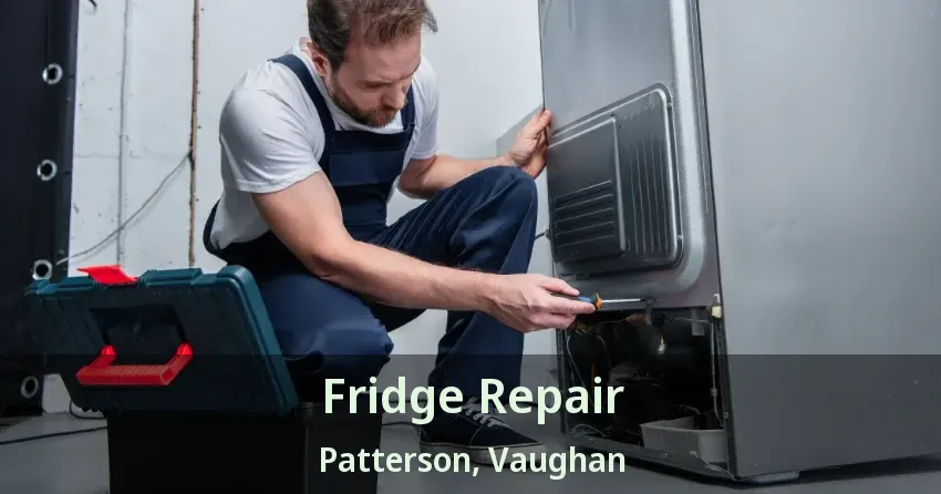Fridge Repair Patterson, Vaughan - ON