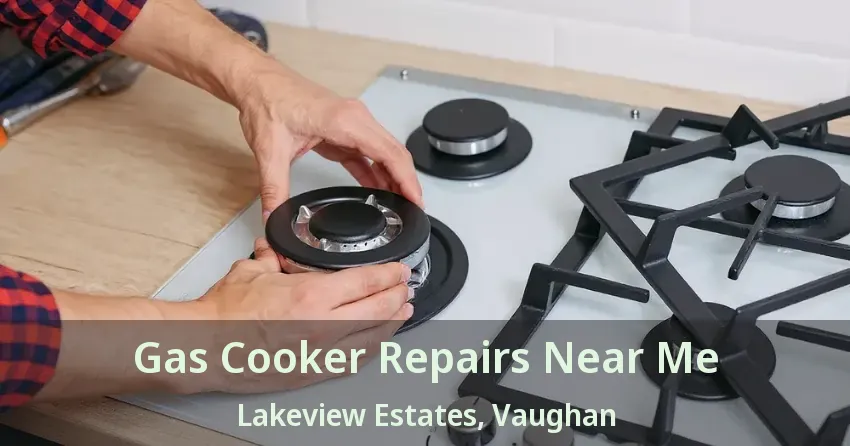 Gas Cooker Repairs Near Me Lakeview Estates, Vaughan - ON