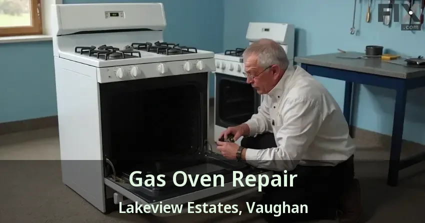Gas Oven Repair Lakeview Estates, Vaughan - ON