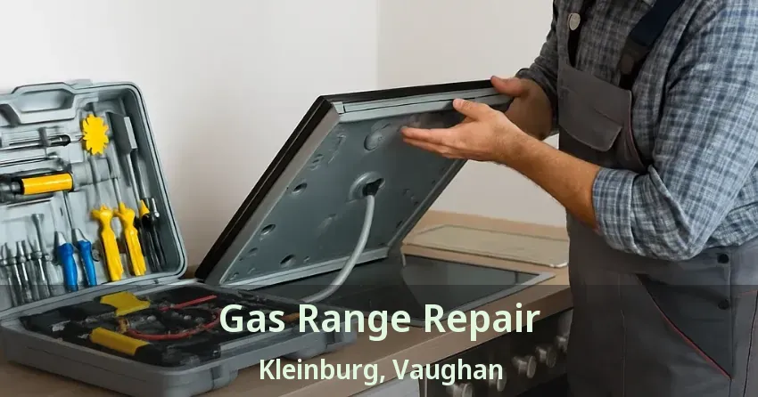 Gas Range Repair Kleinburg, Vaughan - ON