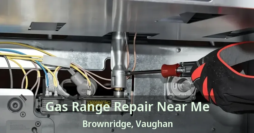 Gas Range Repair Near Me Brownridge, Vaughan - ON