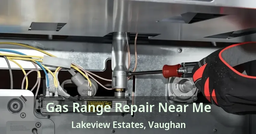 Gas Range Repair Near Me Lakeview Estates, Vaughan - ON