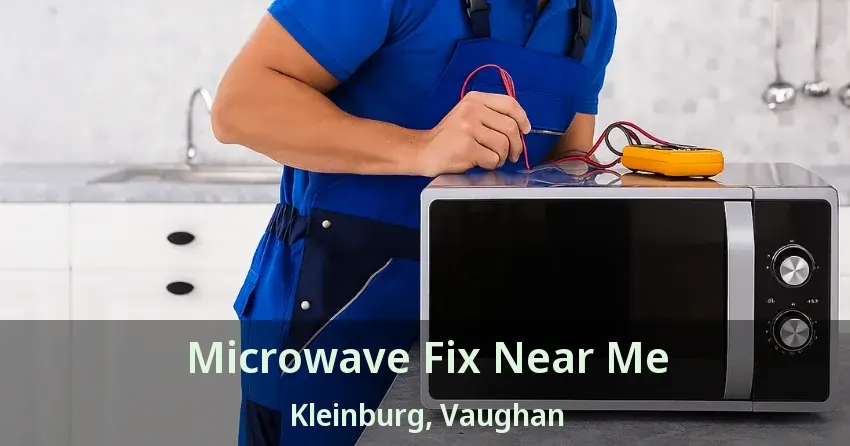 Microwave Fix Near Me Kleinburg, Vaughan - ON