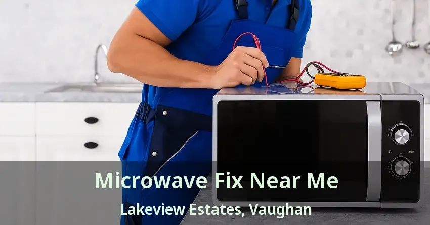 Microwave Fix Near Me Lakeview Estates, Vaughan - ON