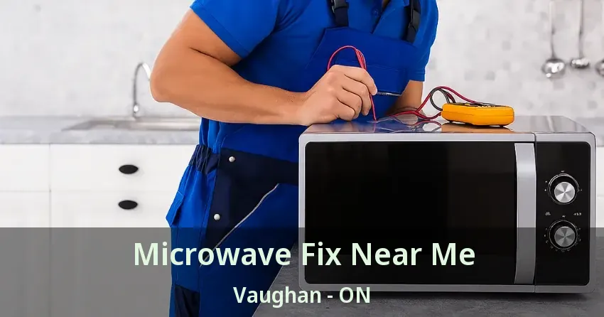 Microwave Fix Near Me Vaughan - ON