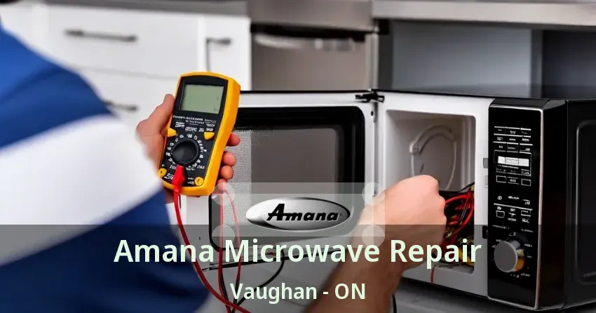 Amana Microwave Repair Vaughan - ON