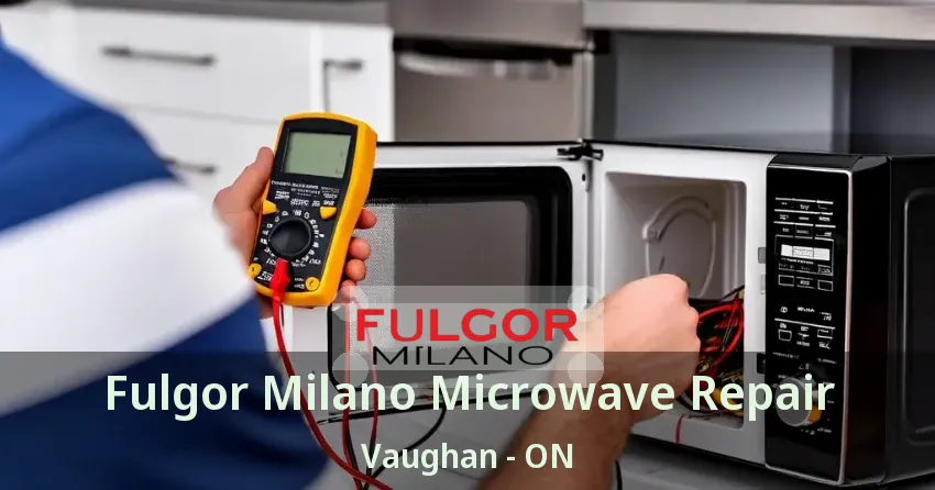 Fulgor Milano Microwave Repair Vaughan - ON