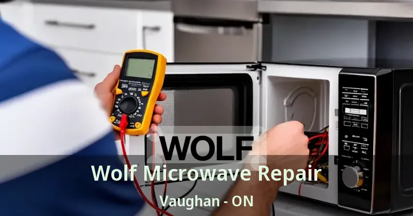 Wolf Microwave Repair Vaughan - ON