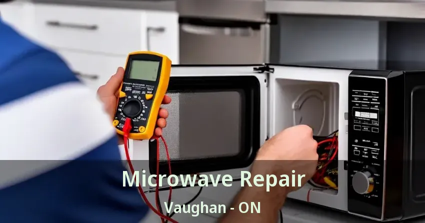 Microwave Repair Vaughan - ON
