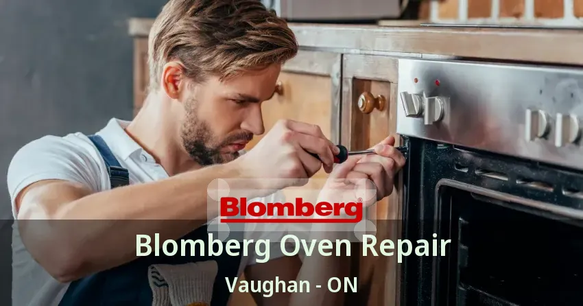 Blomberg Oven Repair Vaughan - ON