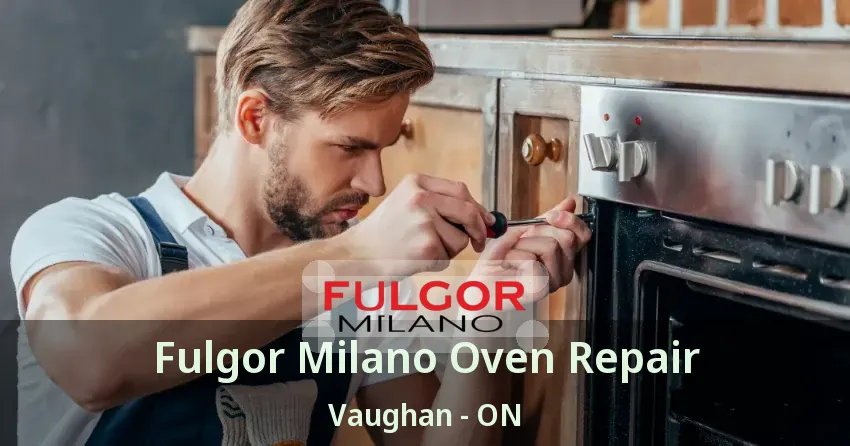Fulgor Milano Oven Repair Vaughan - ON
