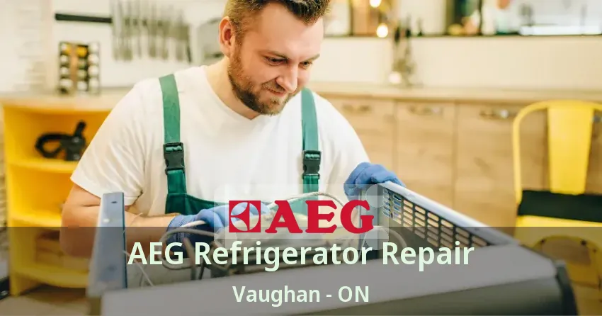 AEG Refrigerator Repair Vaughan - ON