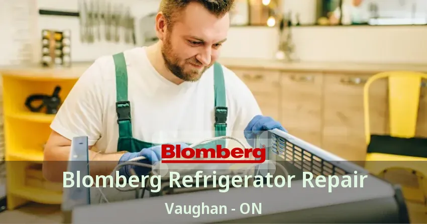 Blomberg Refrigerator Repair Vaughan - ON