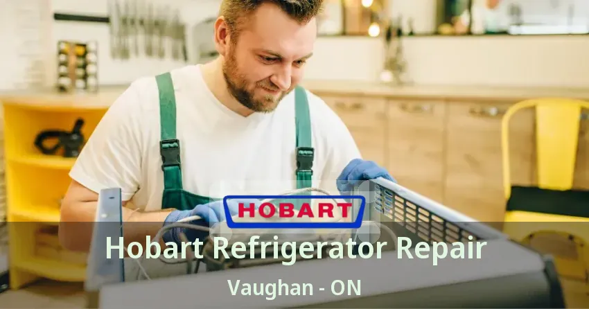 Hobart Refrigerator Repair Vaughan - ON