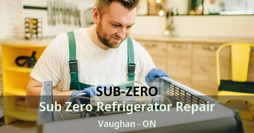 Sub Zero Refrigerator Repair Vaughan - ON