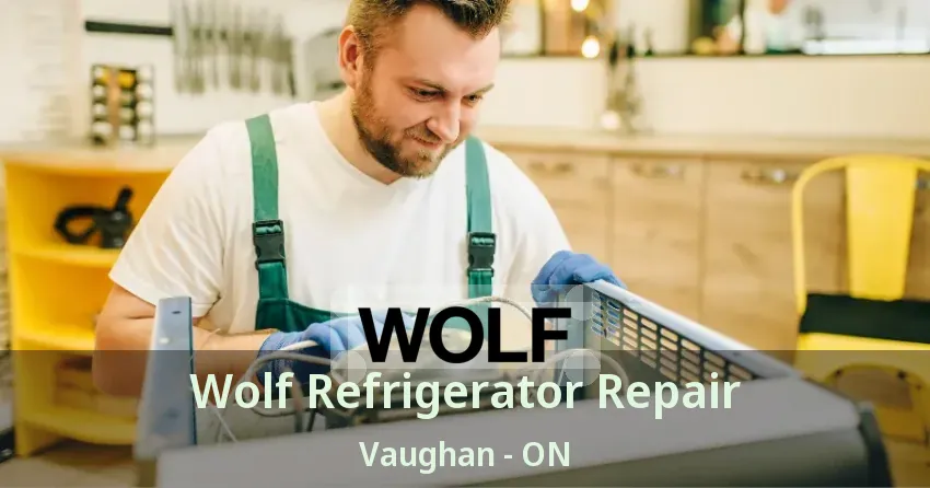 Wolf Refrigerator Repair Vaughan - ON
