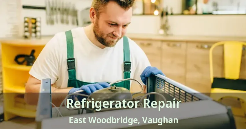 Refrigerator Repair East Woodbridge, Vaughan - ON