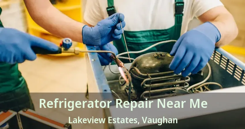 Refrigerator Repair Near Me Lakeview Estates, Vaughan - ON