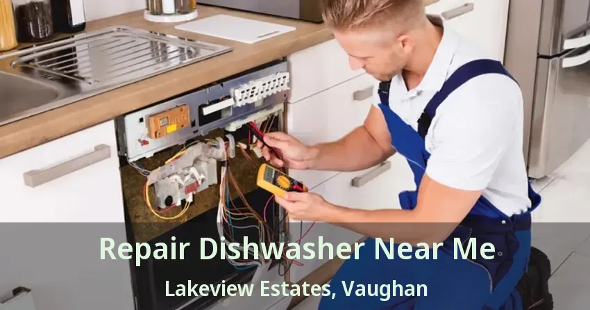 Repair Dishwasher Near Me Lakeview Estates, Vaughan - ON