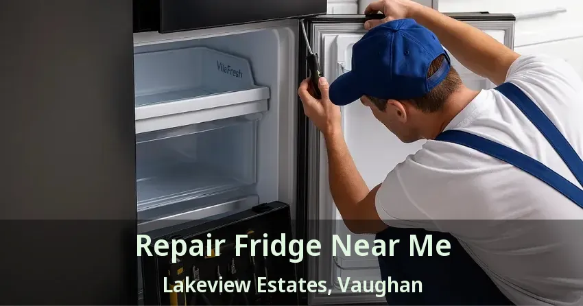 Repair Fridge Near Me Lakeview Estates, Vaughan - ON
