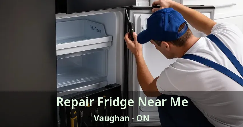 Repair Fridge Near Me Vaughan - ON