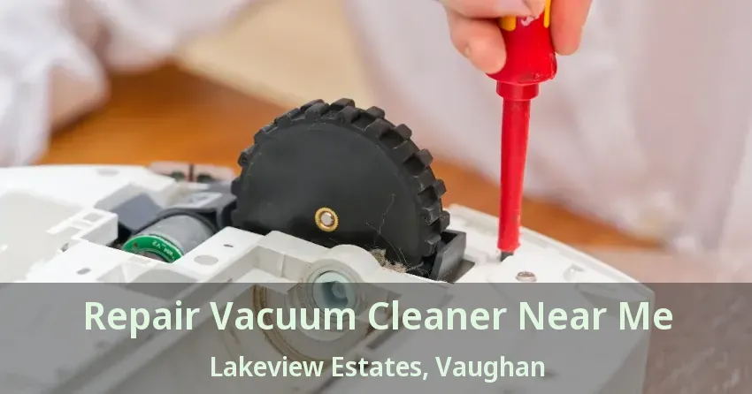 Repair Vacuum Cleaner Near Me Lakeview Estates, Vaughan - ON