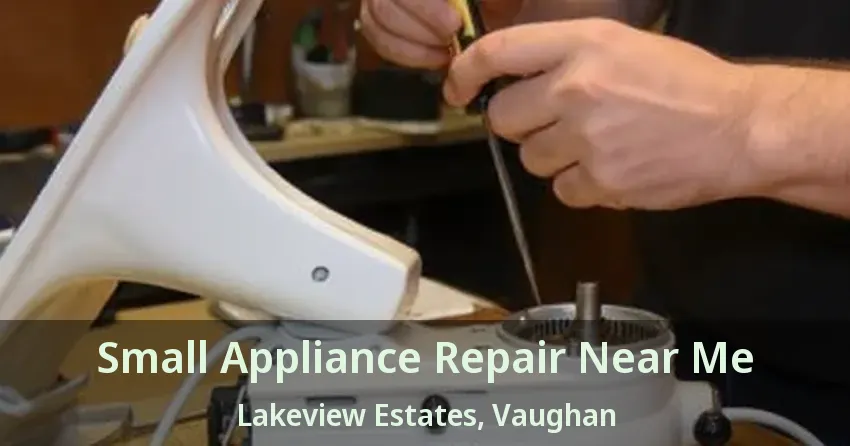Small Appliance Repair Near Me Lakeview Estates, Vaughan - ON