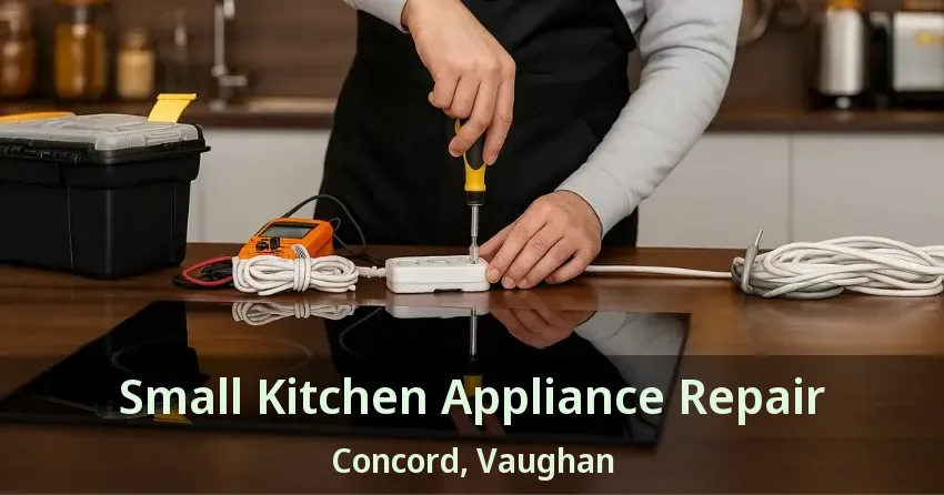 Small Kitchen Appliance Repair Concord, Vaughan - ON