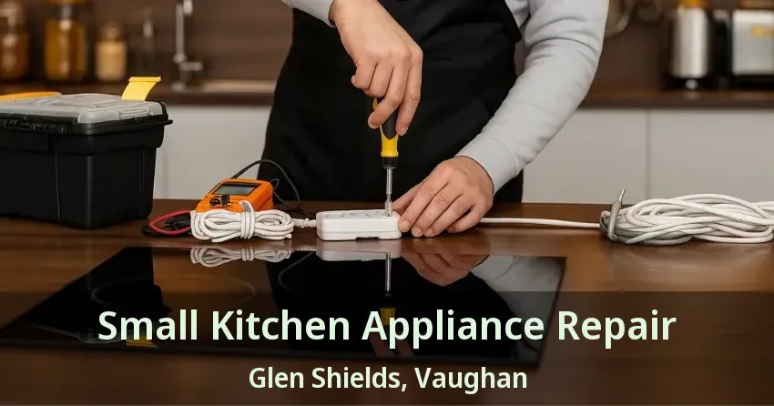 Small Kitchen Appliance Repair Glen Shields, Vaughan - ON