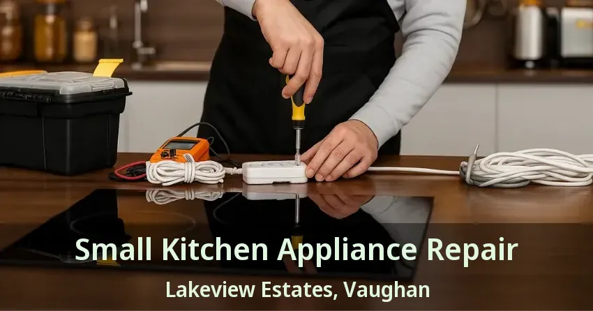 Small Kitchen Appliance Repair Lakeview Estates, Vaughan - ON