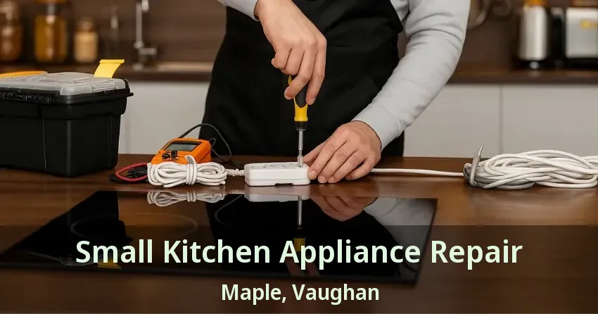 Small Kitchen Appliance Repair Maple, Vaughan - ON