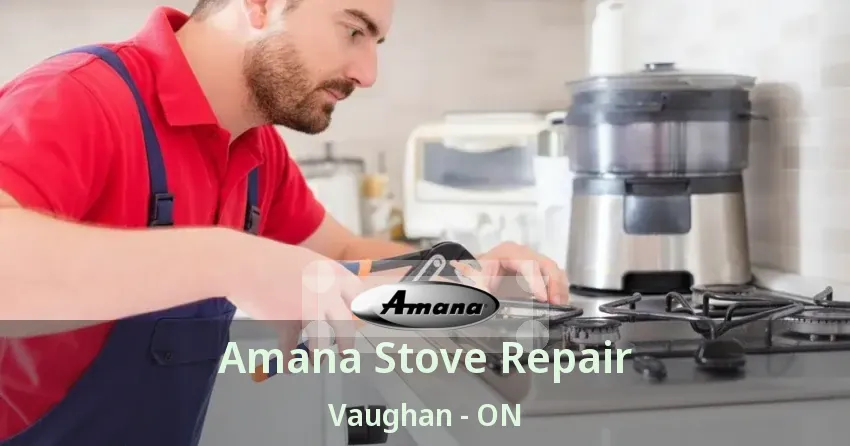 Amana Stove Repair Vaughan - ON