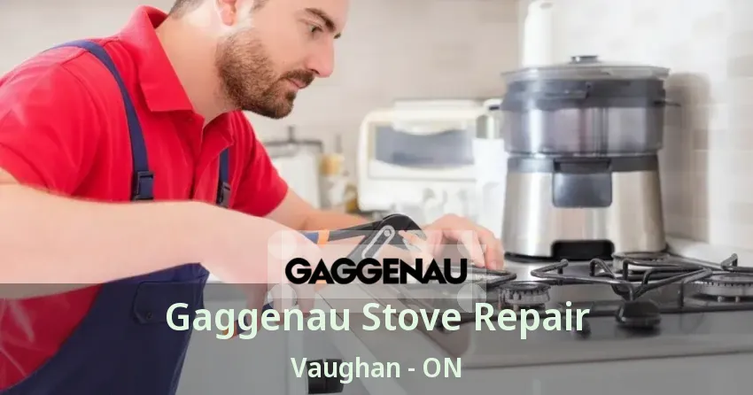 Gaggenau Stove Repair Vaughan - ON