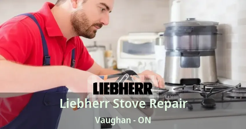 Liebherr Stove Repair Vaughan - ON