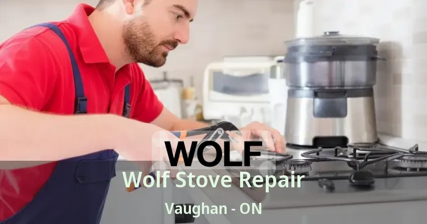 Wolf Stove Repair Vaughan - ON