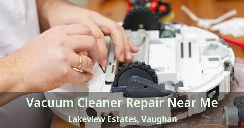 Vacuum Cleaner Repair Near Me Lakeview Estates, Vaughan - ON